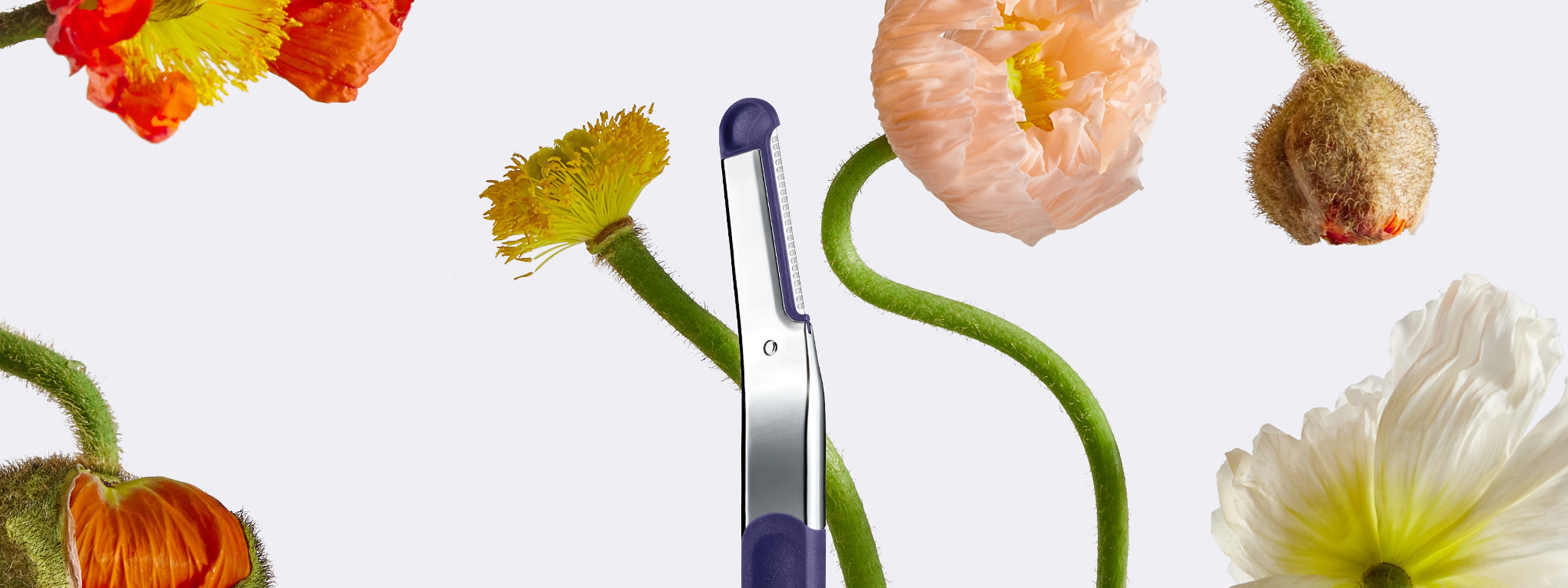 Flamingo | Women's Razors, Hair Removal & Body Care